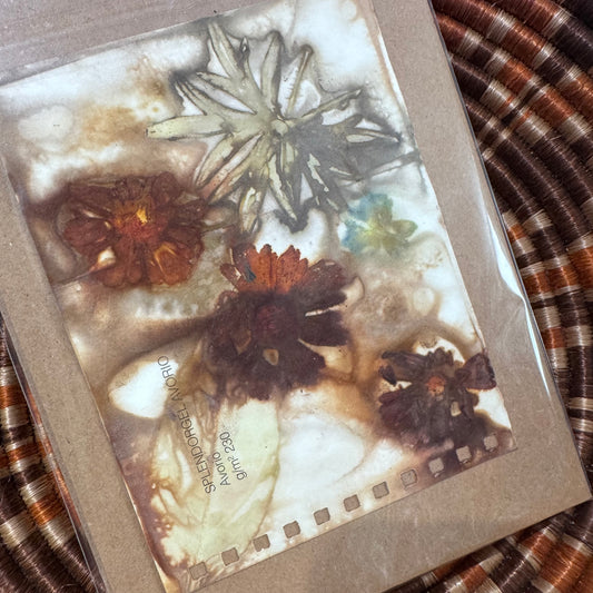 Eco Printed Card Duo