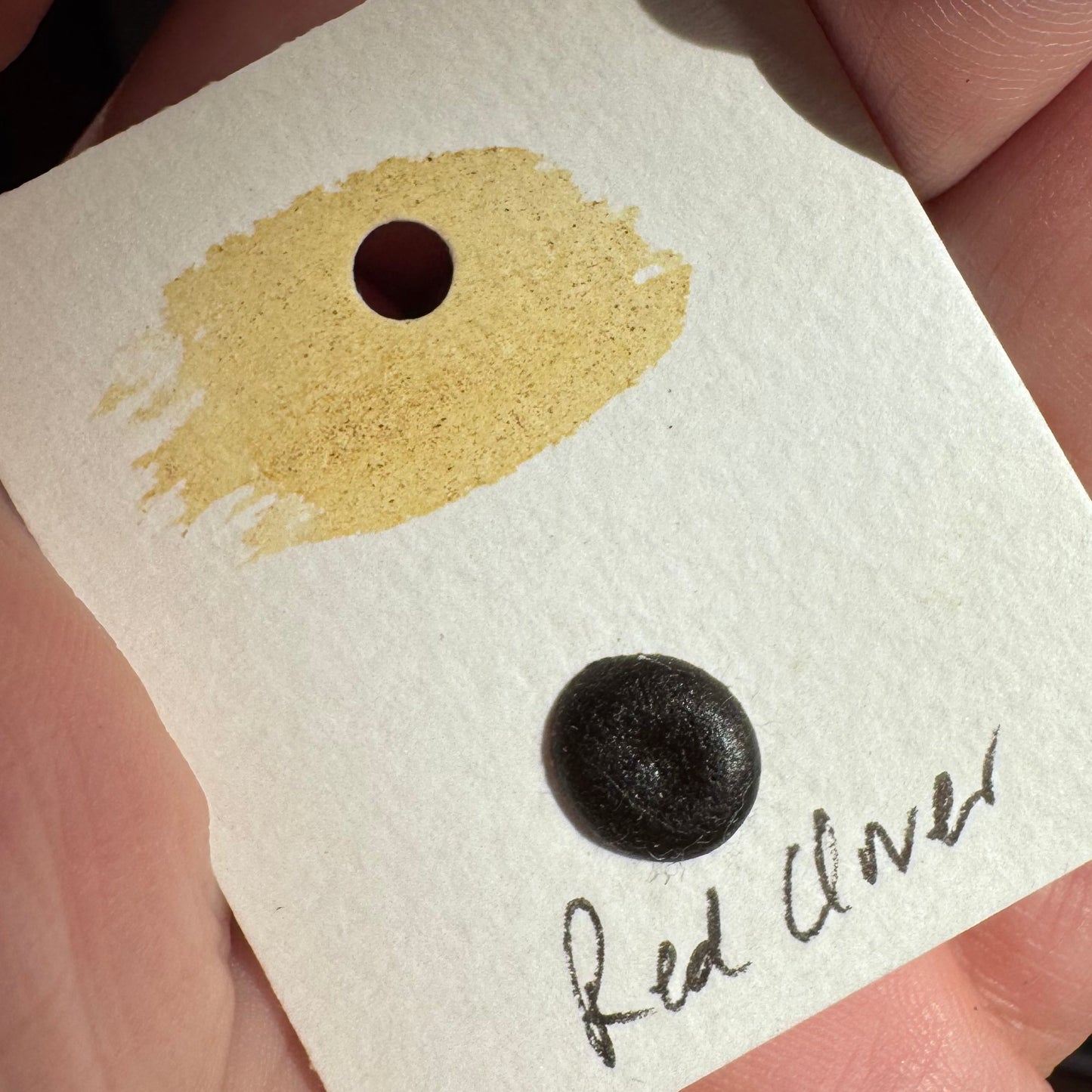Watercolour Dots - Handmade from Sourced Natural Botanical and Insect Pigments
