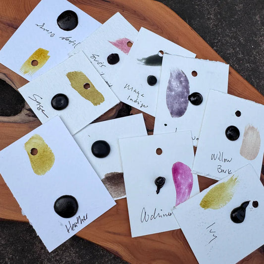 Watercolour Dots - Handmade from Sourced Natural Botanical and Insect Pigments