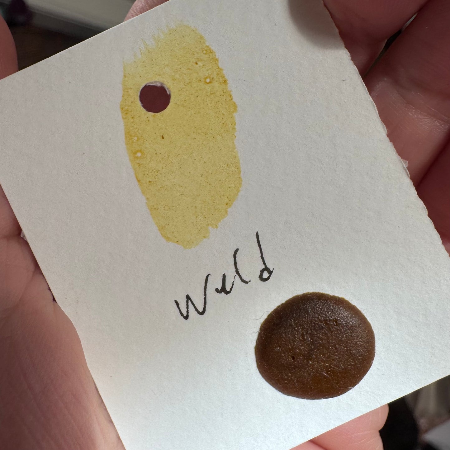 Watercolour Dots - Handmade from Sourced Natural Botanical and Insect Pigments