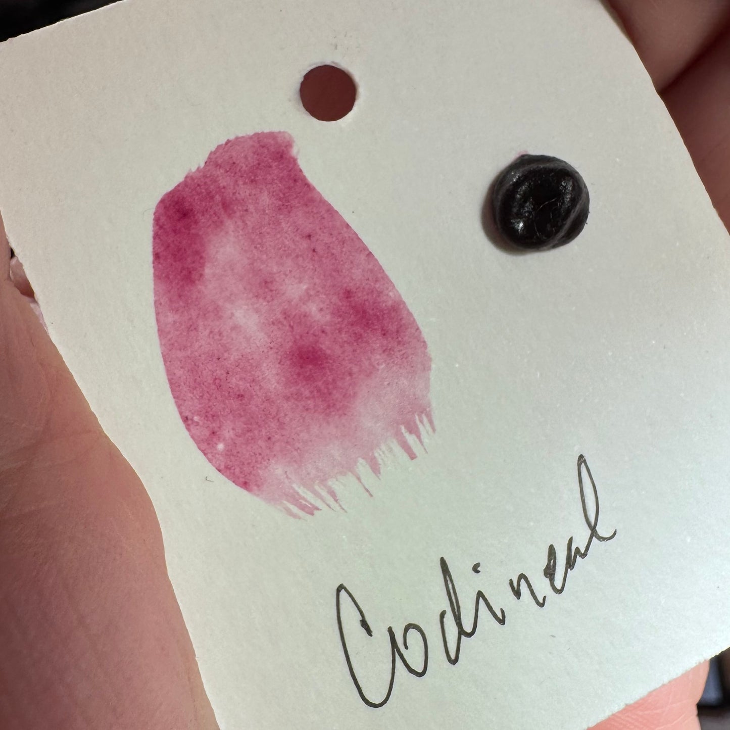 Watercolour Dots - Handmade from Sourced Natural Botanical and Insect Pigments