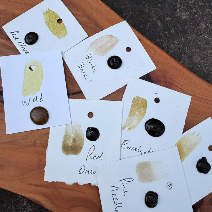 Watercolour Dots - Handmade from Sourced Natural Botanical and Insect Pigments