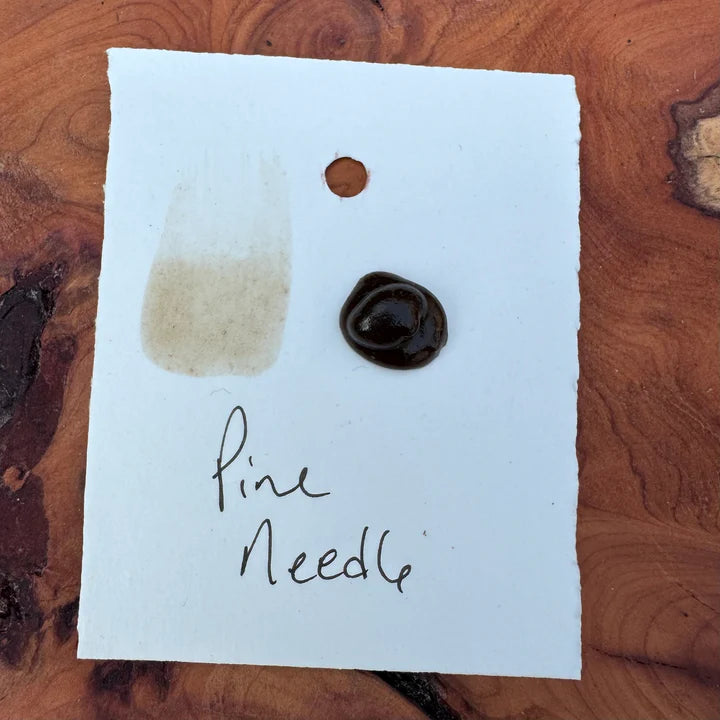 Watercolour Dots - Handmade from Sourced Natural Botanical and Insect Pigments