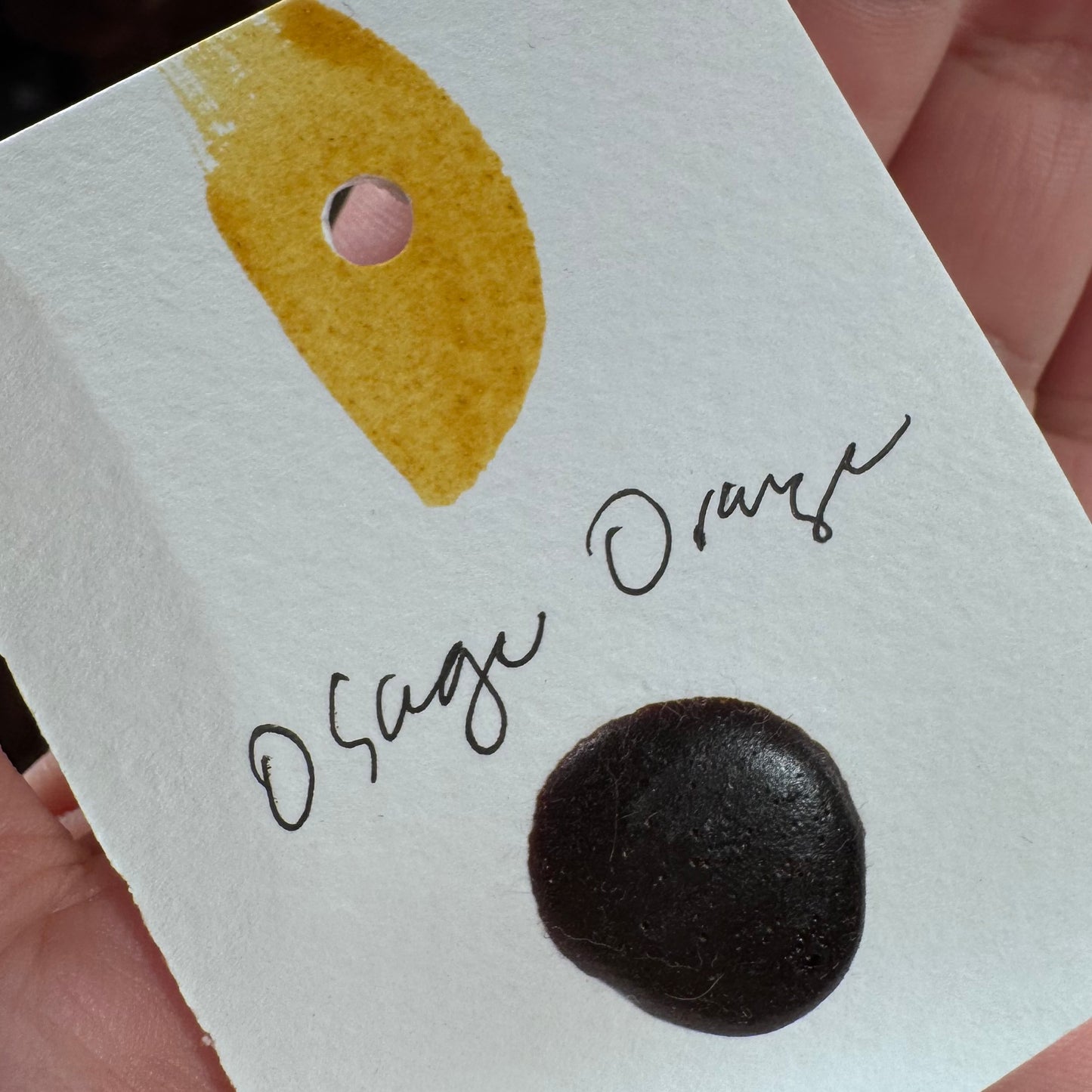 Watercolour Dots - Handmade from Sourced Natural Botanical and Insect Pigments