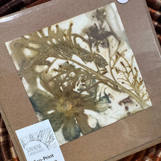 Eco Printed Card Duo