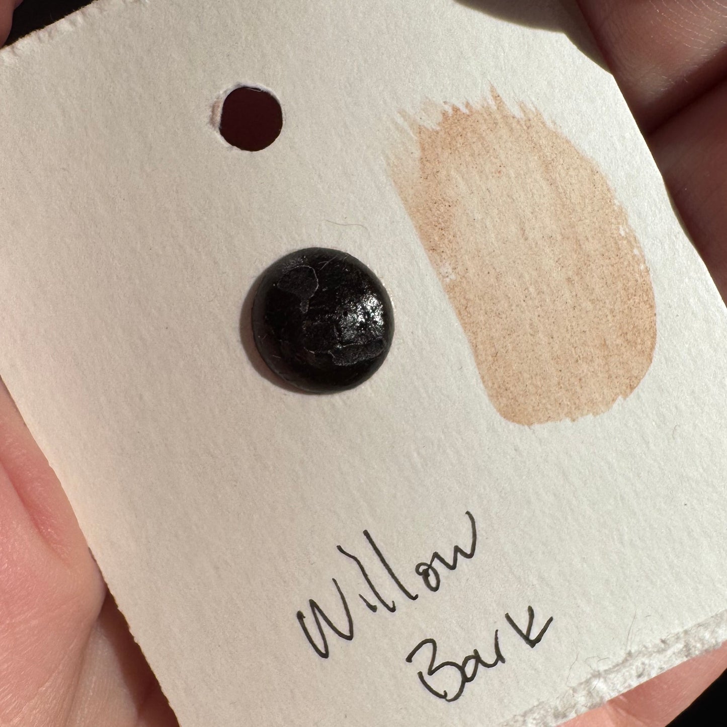 Watercolour Dots - Handmade from Sourced Natural Botanical and Insect Pigments