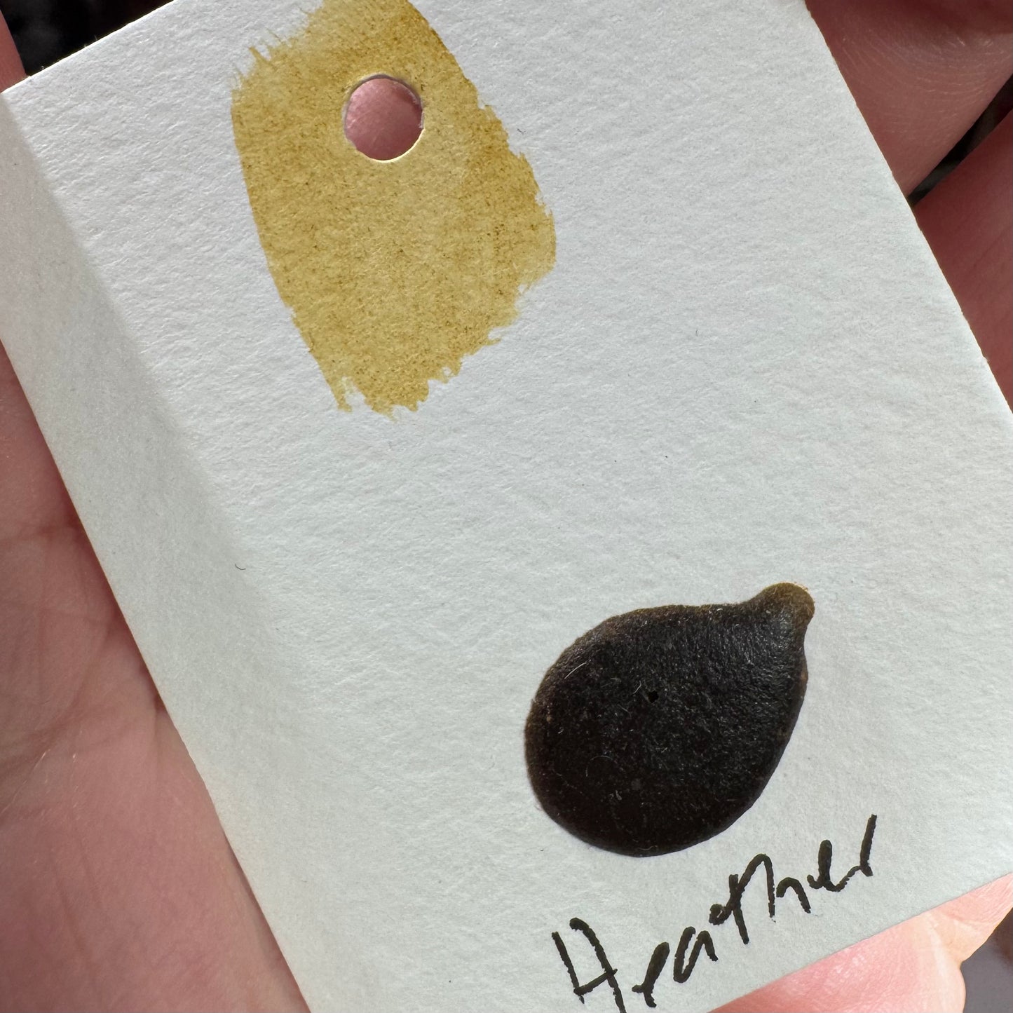 Watercolour Dots - Handmade from Sourced Natural Botanical and Insect Pigments