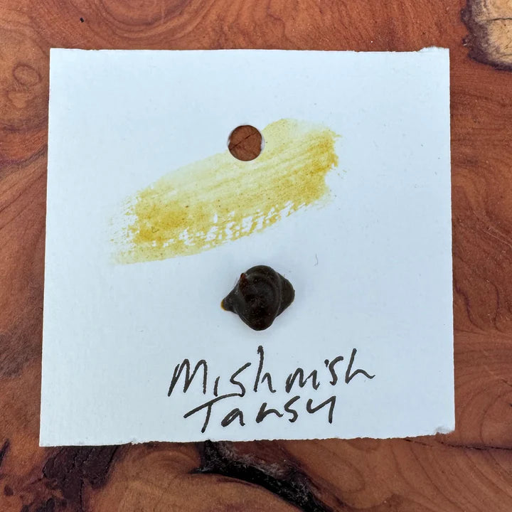 Watercolour Dots - Handmade from Locally Grown Natural Botanical and Local Earth Pigments