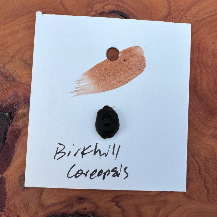 Watercolour Dots - Handmade from Locally Grown Natural Botanical and Local Earth Pigments