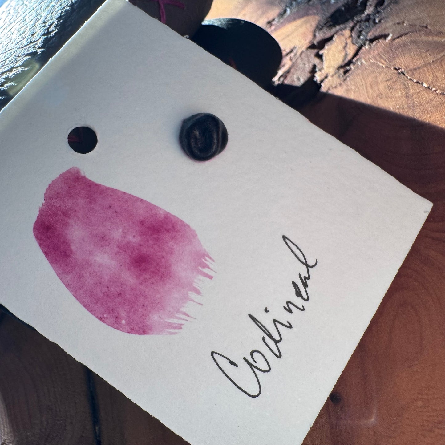 Watercolour Dots - Handmade from Sourced Natural Botanical and Insect Pigments